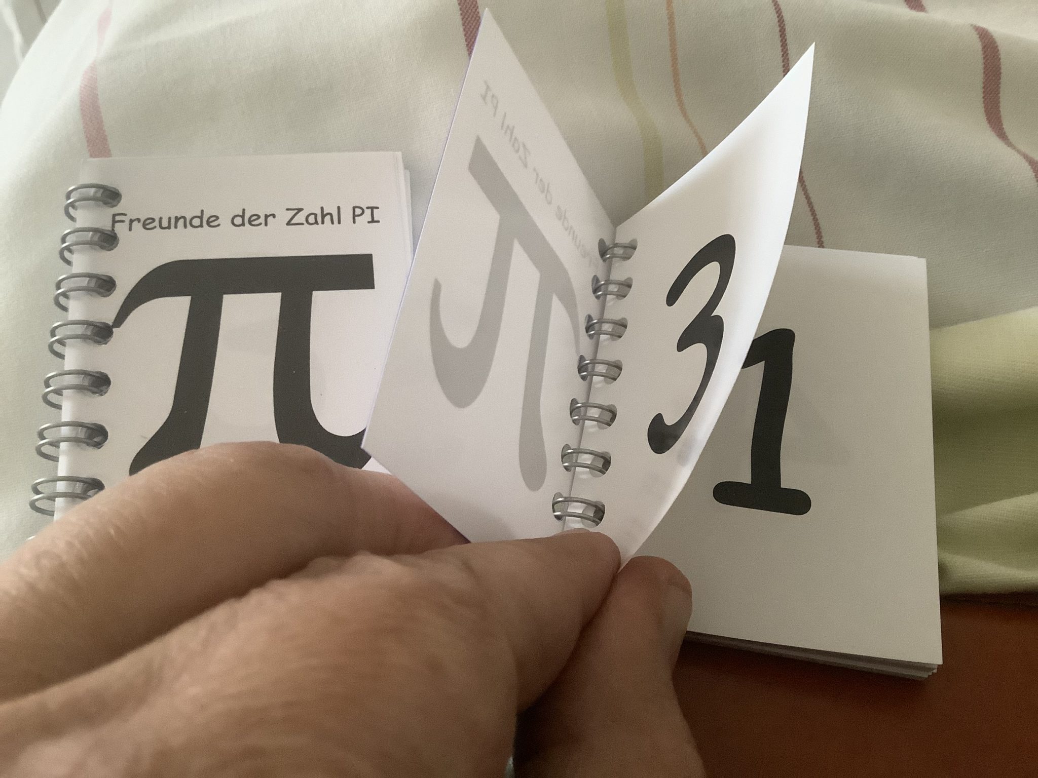 π Mini Buch - Trostpflaster zum Pi Tag 2021 - π - Faszination in Ziffern