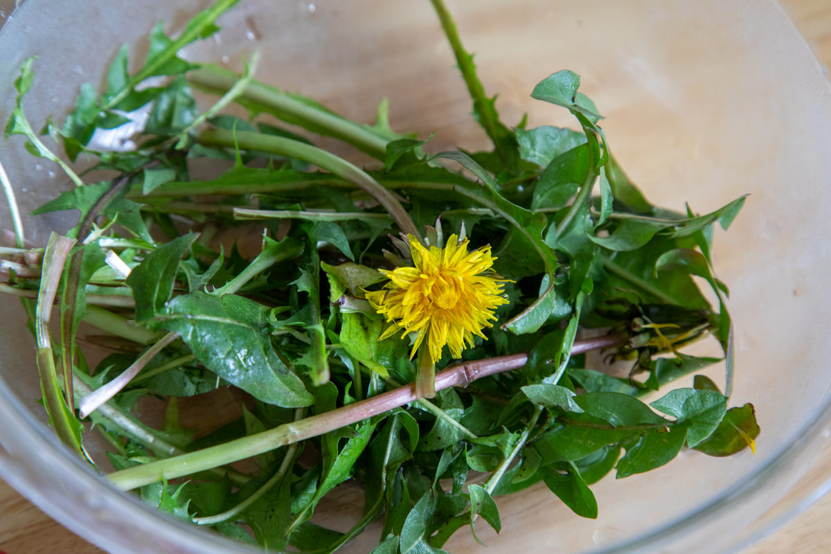 Ein Pi Smoothie Rezept zum PiTag π Faszination in Ziffern